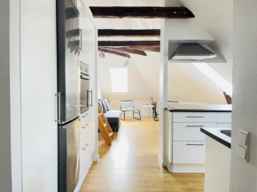 aday - City Central Mansion - 4 bedroom apartment in Aalborg 